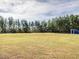 Spacious grassy soccer field with goals at 75 Bur Oak Ct, Pittsboro, NC 27312