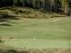 View of a putting green and flag at 75 Bur Oak Ct, Pittsboro, NC 27312