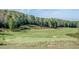 Scenic golf course view with lush greens and tree-lined fairways at 75 Bur Oak Ct, Pittsboro, NC 27312