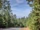Residential road nestled in a wooded area with scenic views at 75 Bur Oak Ct, Pittsboro, NC 27312