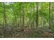 Wooded lot ready for your custom home at 222 Kenwood Ln, Pittsboro, NC 27312
