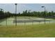 Well-lit tennis courts with surrounding fencing at 13 Blackhorn Ct, Pittsboro, NC 27312