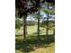 Peaceful view of the golf course from the trees at 13 Blackhorn Ct, Pittsboro, NC 27312