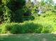 Vacant lot with dense vegetation, offering a natural setting at 334 Ira B Tart Rd, Dunn, NC 28334