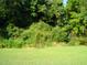 Overgrown lot with a partially cleared area at 334 Ira B Tart Rd, Dunn, NC 28334