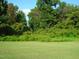 Open land with lush green grass and mature trees at 334 Ira B Tart Rd, Dunn, NC 28334