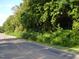 Wooded lot with roadside view, offering privacy and potential at 334 Ira B Tart Rd, Dunn, NC 28334