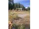Overgrown lot with various debris and a metal building at 878 Green Hill Rd, Franklinton, NC 27525