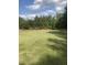 Large grassy yard with mature trees in the background at 878 Green Hill Rd, Franklinton, NC 27525