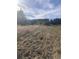 Large open lot with tall grass and some trees at 878 Green Hill Rd, Franklinton, NC 27525