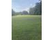 Vast grassy area with trees lining the horizon at 878 Green Hill Rd, Franklinton, NC 27525
