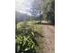 Gravel driveway with trees and plants along the sides at 878 Green Hill Rd, Franklinton, NC 27525