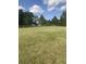 Large grassy yard with a view of a house and trees at 878 Green Hill Rd, Franklinton, NC 27525