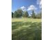 Spacious yard with trees casting shadows on the grass at 878 Green Hill Rd, Franklinton, NC 27525