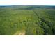 Aerial view of a vast wooded area at 878 Green Hill Rd, Franklinton, NC 27525