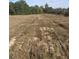 Open lot with tall grass and distant trees at 878 Green Hill Rd, Franklinton, NC 27525