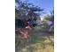 Property with various outbuildings and overgrown areas at 878 Green Hill Rd, Franklinton, NC 27525