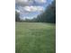 Expansive green lawn with trees and distant figures at 878 Green Hill Rd, Franklinton, NC 27525