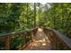 Wooden boardwalk path meandering through lush trees at 622 Chronicle Dr, Cary, NC 27513