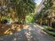 Shared driveway lined with trees leading to the townhomes at 815 Brewer Ave, Wake Forest, NC 27587