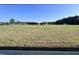 View of open green space beyond the house's backyard at 231 Lotus Ave, Smithfield, NC 27577