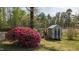 Large backyard with shed and azalea bush at 11609 Us-401, Fuquay Varina, NC 27526