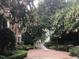 Long driveway lined with lush trees leading to a stately home at 50211 Manly, Chapel Hill, NC 27517