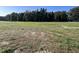 Vacant lot ready for building, surrounded by trees at 194 Lotus Ave, Smithfield, NC 27577