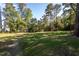 Wooded lot with a grassy area and mature trees at 717 Moores Pond Rd, Youngsville, NC 27596