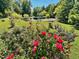 Beautiful pond with lush landscaping and vibrant flowers at 6424 Sunset Manor Dr, Wake Forest, NC 27587