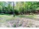 Secluded wooded area with a small pond at 997 Jackson Rd, Fuquay Varina, NC 27526