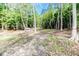 Wooded lot with a cleared area, perfect for building your dream home at 997 Jackson Rd, Fuquay Varina, NC 27526