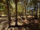 Wooded backyard with grill and playset at 255 Roberts Ave, Henderson, NC 27537