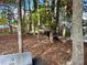 Backyard with playset and grill, surrounded by trees at 255 Roberts Ave, Henderson, NC 27537
