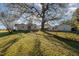 Backyard view showing home, shed, and large tree at 816 Luby Smith Rd, Princeton, NC 27569