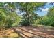 Large backyard with mature trees and open space at 260 S Rocky River Rd, Moncure, NC 27559