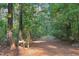 Long driveway leading into the property through wooded area at 260 S Rocky River Rd, Moncure, NC 27559