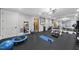 Basement gym with a variety of equipment including weights, mats, and a trampoline at 12660 Boyce Milll Road, Raleigh, NC 27613