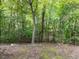 Wooded backyard providing a private natural setting at 202 Linden Park Ln, Cary, NC 27519