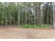 Wooded backyard with pine trees and grassy area at 10 Harvest View Way, Franklinton, NC 27525
