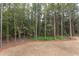 Wooded backyard with a natural landscape at 10 Harvest View Way, Franklinton, NC 27525