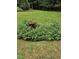 Landscaped backyard with birdbath at 95 Crownside Dr, Four Oaks, NC 27524
