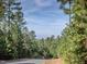 Paved road winding through a lush, wooded area with a distant view at 7 Blackhorn Ct, Pittsboro, NC 27312