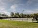 Well-lit tennis courts with fencing and ample green space at 7 Blackhorn Ct, Pittsboro, NC 27312