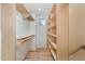 Walk-in closet with ample shelving and hanging space at 515 W Lenoir St # 102, Raleigh, NC 27601