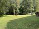 Large backyard with playset and wooded area at 1229 Tulip St, Clayton, NC 27520