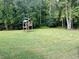 Large backyard with a playset and wooded area at 1229 Tulip St, Clayton, NC 27520