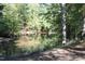 Serene pond surrounded by lush trees at 6300 Swallow Cove Ln, Raleigh, NC 27614