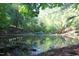 Tranquil pond view with wooded surroundings at 6300 Swallow Cove Ln, Raleigh, NC 27614
