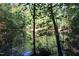 Peaceful pond nestled in the woods at 6300 Swallow Cove Ln, Raleigh, NC 27614